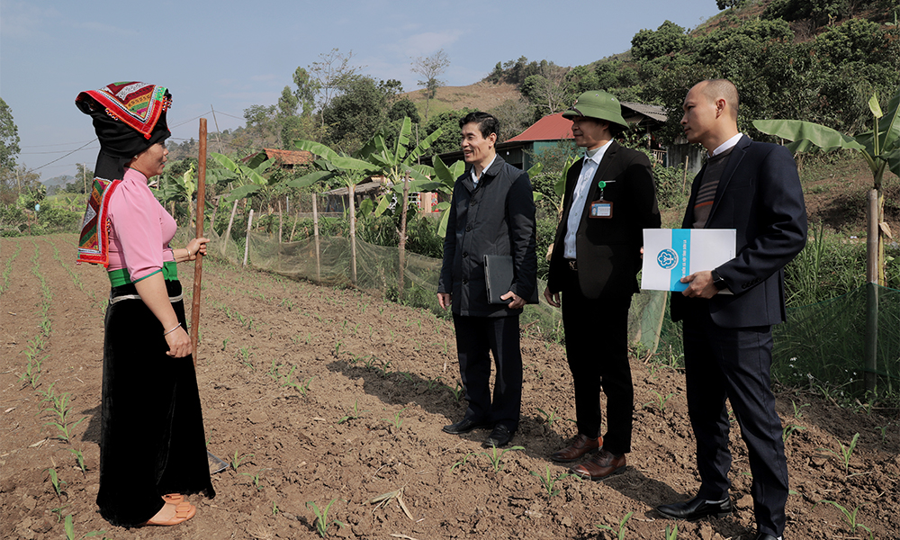 Phấn đấu hoàn thành chỉ tiêu số người tham gia BHXH, BHYT năm 2024