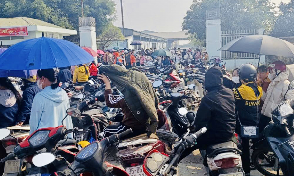 BHXH huyện Thiệu Hóa (Thanh Hoá) kiến nghị xử lý hình sự DN nợ BHXH kéo dài