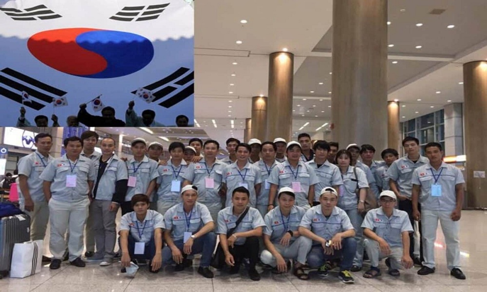Tuyển chọn hơn 18.000 lao động làm việc tại Hàn Quốc theo Chương trình EPS