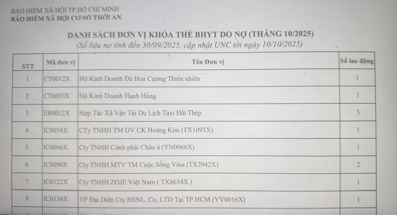 TP. Hồ Chí Minh: 2.049 đơn vị, doanh nghiệp nợ BHXH, người lao động bị khóa thẻ BHYT