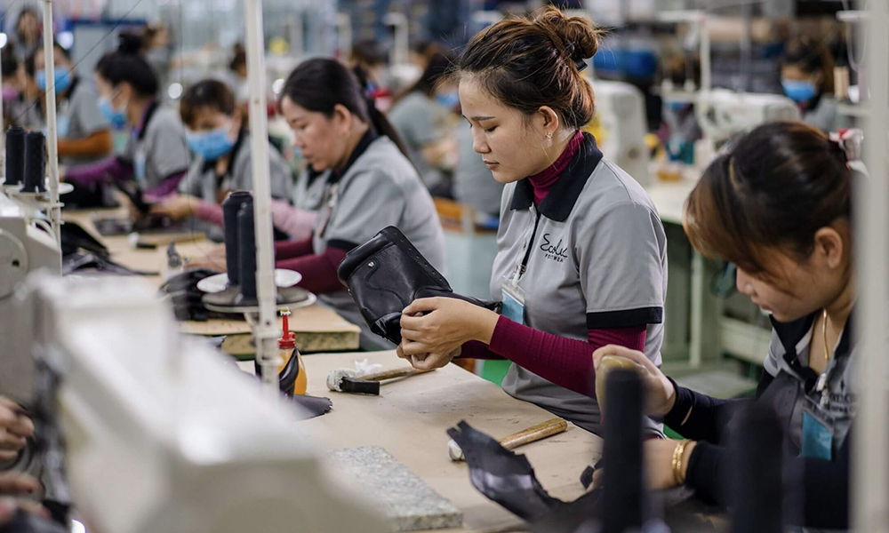 Bình Thuận: 500 đơn vị, doanh nghiệp chậm đóng BHXH, BHYT trên 115 tỷ đồng