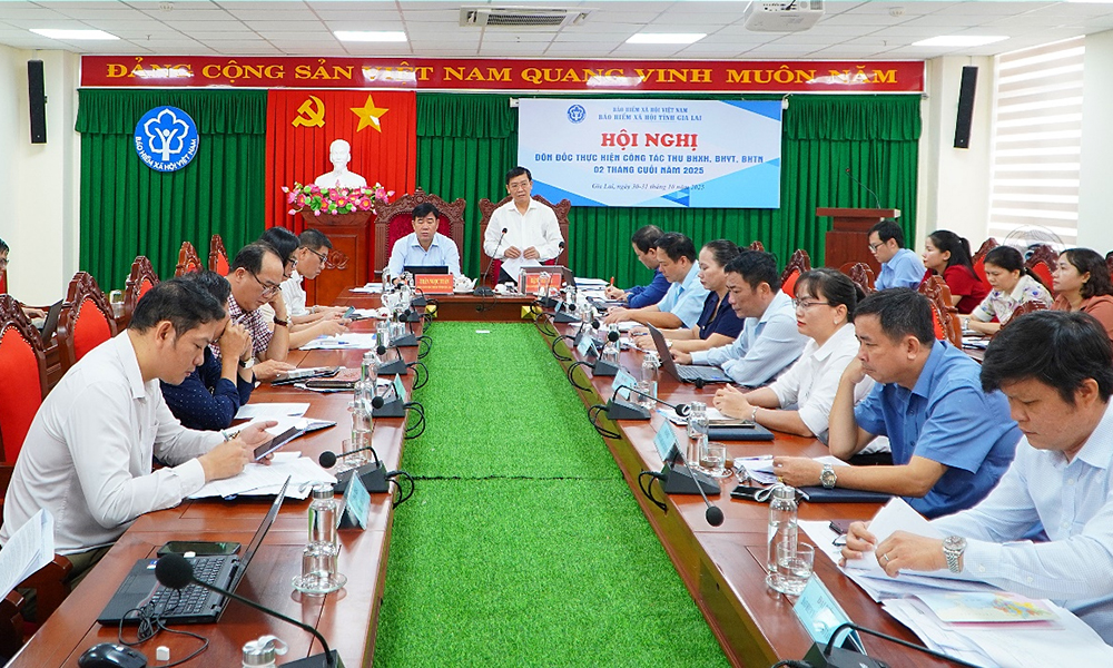 Gia Lai: Đôn đốc quyết liệt, phấn đấu hoàn thành chỉ tiêu năm 2025