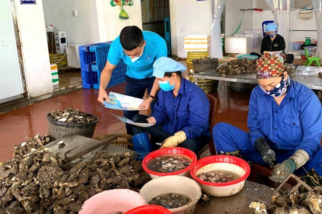 Người dân đặc khu Vân Đồn chính thức được cấp thẻ BHYT miễn phí