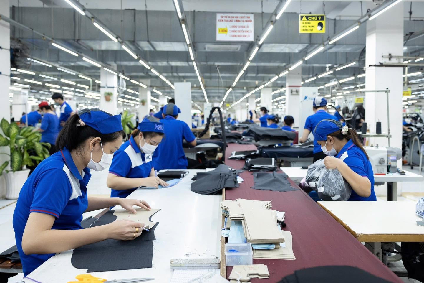 Người lao động nên chủ động tham gia BHXH để được hưởng lương hưu hàng tháng và được cấp thẻ BHYT trọn đời.