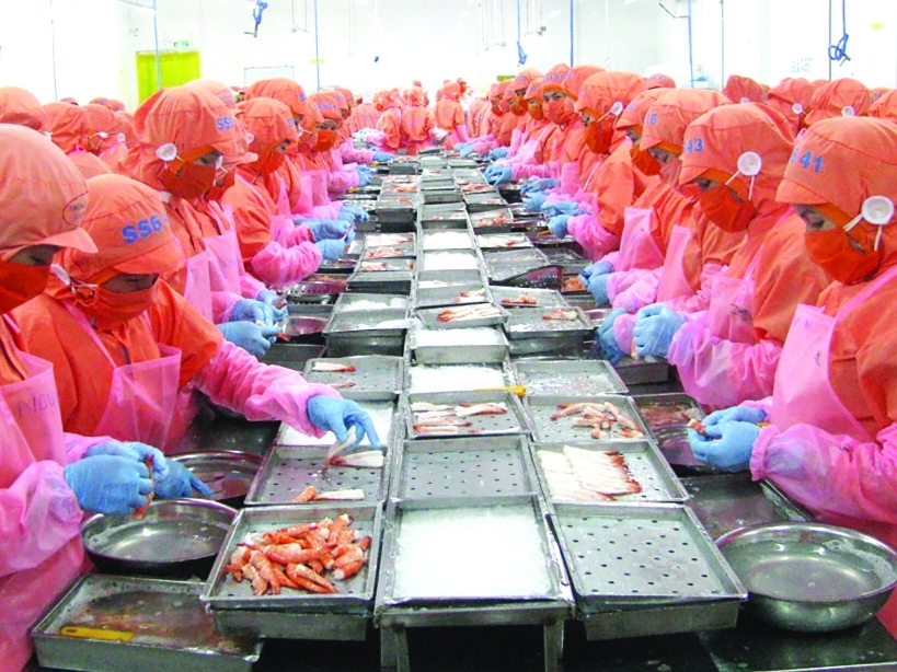 Xuất khẩu tôm trên 4 tỷ USD “trong tầm tay”