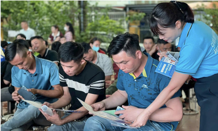 Tuyên Quang: Tăng cường các giải pháp thu, phát triển người tham gia BHXH, BHYT