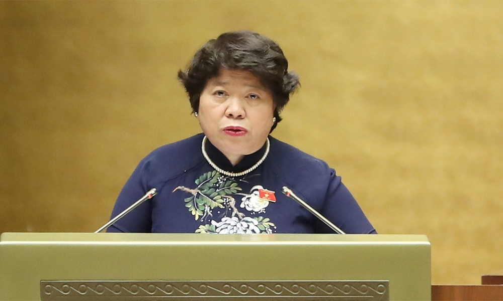 Quốc hội nghe Tờ trình của Chính phủ và Báo cáo thẩm tra của Ủy ban Xã hội về Dự thảo Luật BHXH (sửa đổi)