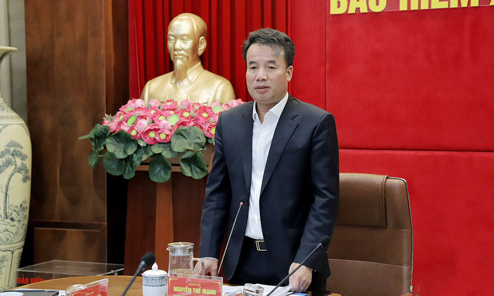 Tổng Giám đốc Nguyễn Thế Mạnh có buổi làm việc với 12 BHXH tỉnh, thành phố phía Bắc