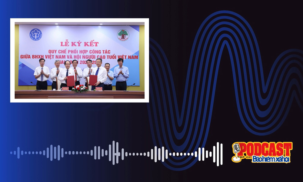 Podcast tổng hợp tuần 4 tháng 8/2024