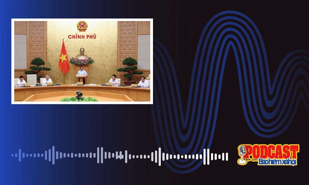 Podcast tổng hợp tuần 1 tháng 9/2024