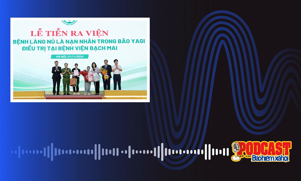 Podcast tổng hợp tuần 1 tháng 11/2024