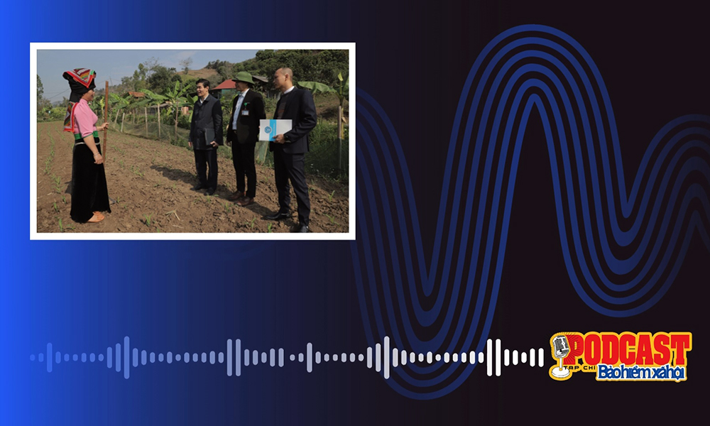 Podcast tổng hợp tuần 2 tháng 11/2024