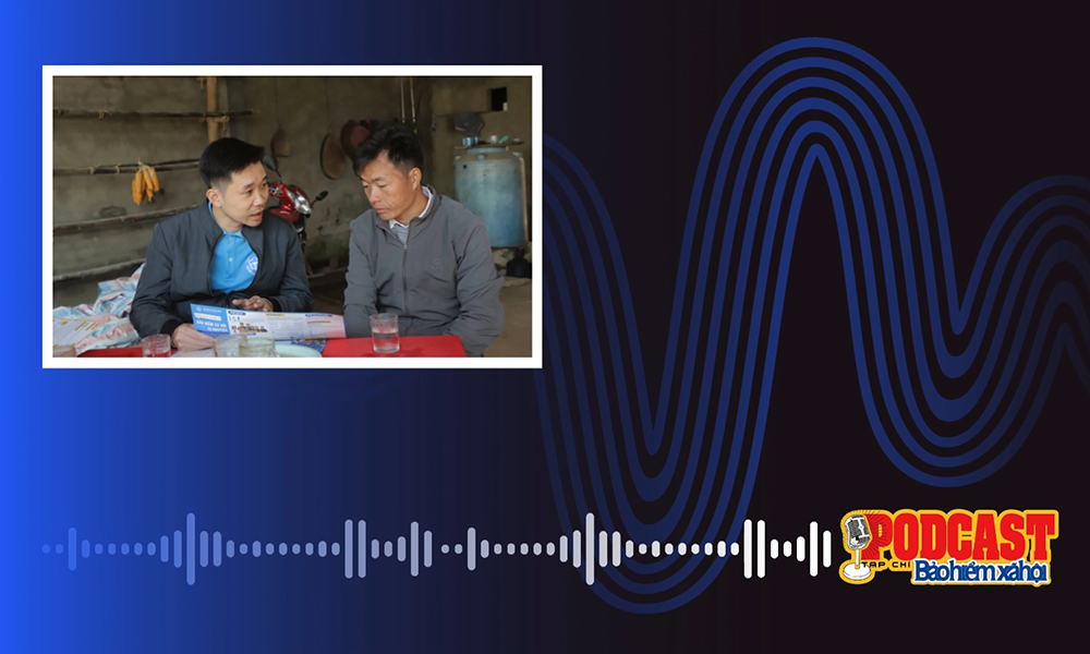 Podcast tổng hợp tuần 3 tháng 11/2024