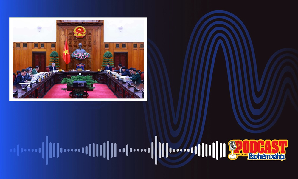 Podcast tin nhanh, bản tin số 80